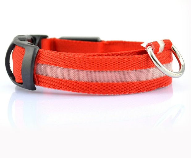 Light-Up LED Collar – Fun & Safety for Dogs