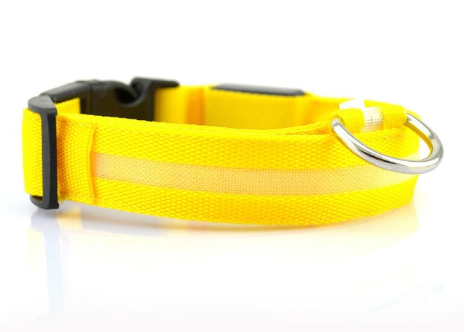 Light-Up LED Collar – Fun & Safety for Dogs