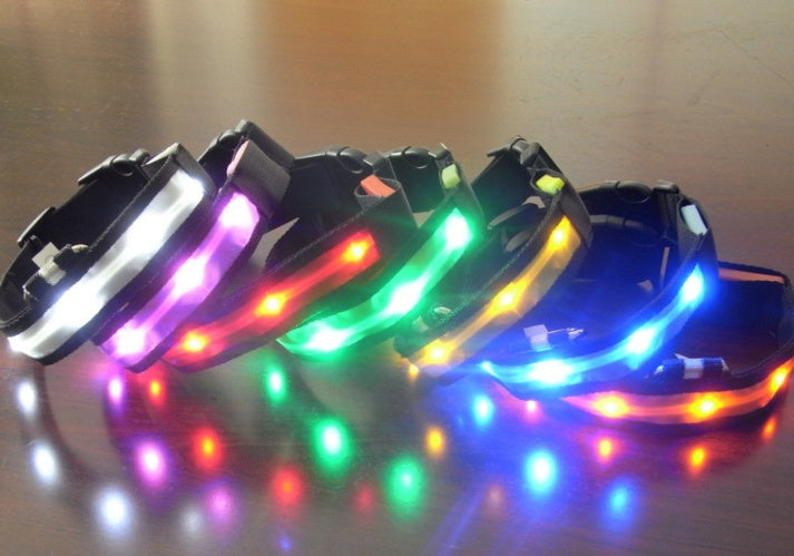 Bright LED Dog Collar – Keep Your Pup Safe