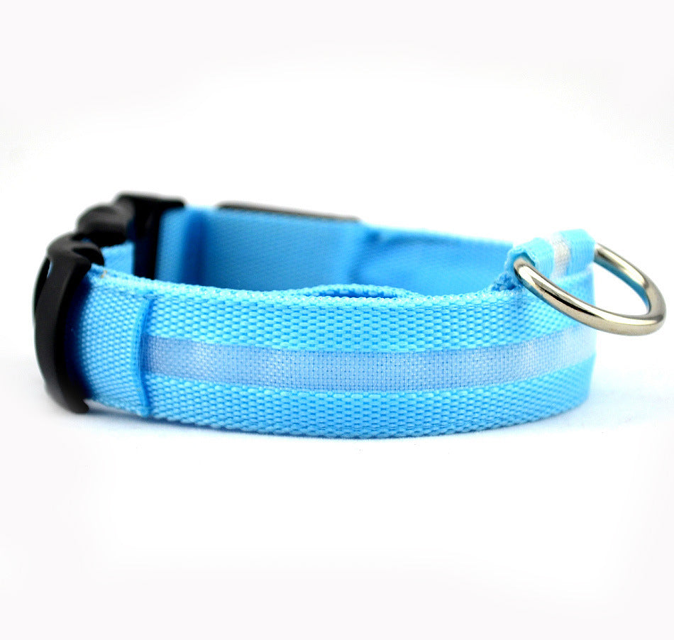 Light-Up LED Collar – Fun & Safety for Dogs