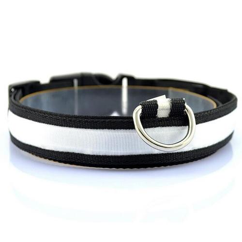 Bright LED Dog Collar – Keep Your Pup Safe