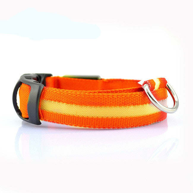 Light-Up LED Collar – Fun & Safety for Dogs