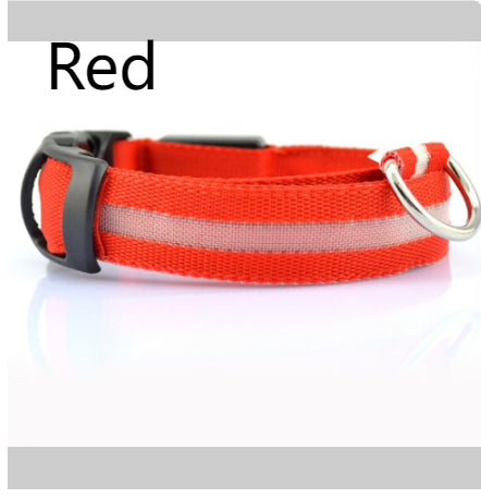Light-Up LED Collar – Fun & Safety for Dogs