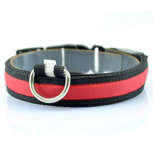 Bright LED Dog Collar – Keep Your Pup Safe