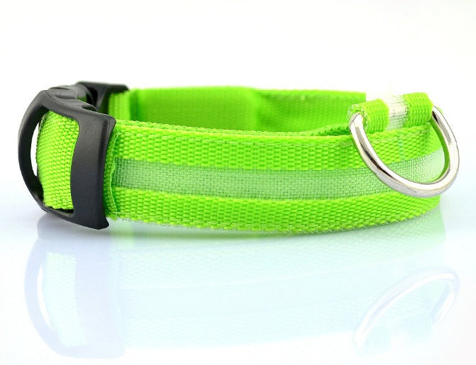 Light-Up LED Collar – Fun & Safety for Dogs