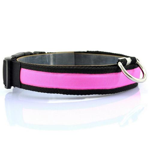 Bright LED Dog Collar – Keep Your Pup Safe