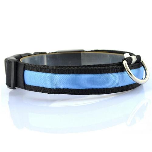 Bright LED Dog Collar – Keep Your Pup Safe