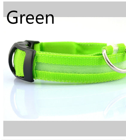 Light-Up LED Collar – Fun & Safety for Dogs
