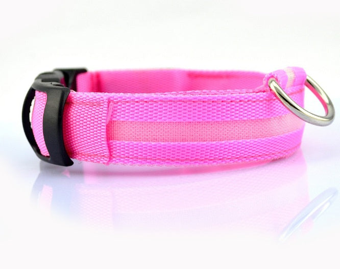 Light-Up LED Collar – Fun & Safety for Dogs