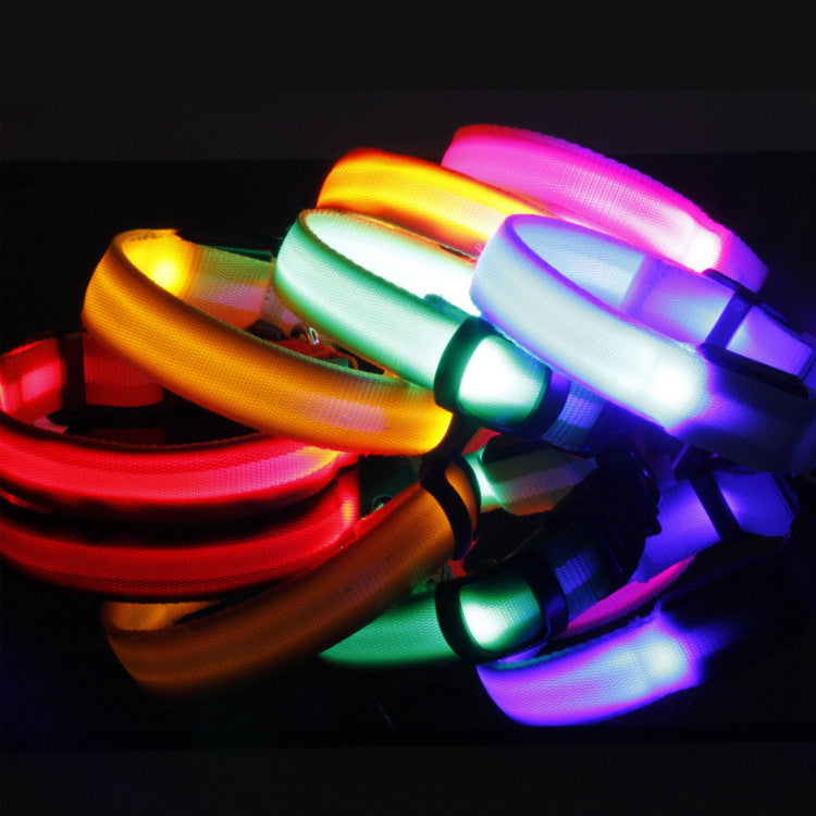 Light-Up LED Collar – Fun & Safety for Dogs