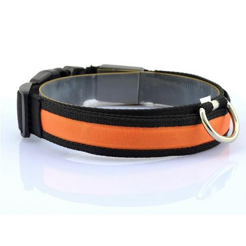 Bright LED Dog Collar – Keep Your Pup Safe