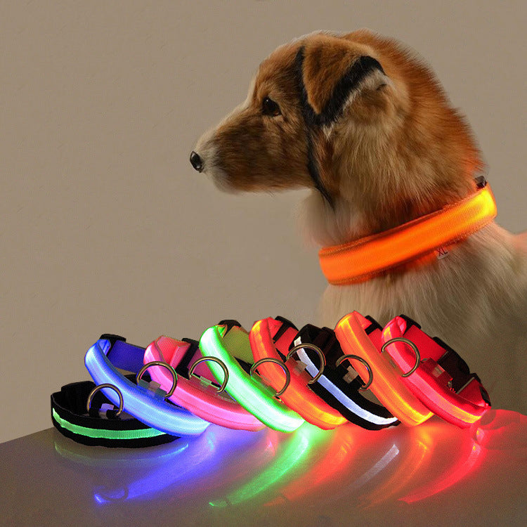 Light-Up LED Collar – Fun & Safety for Dogs