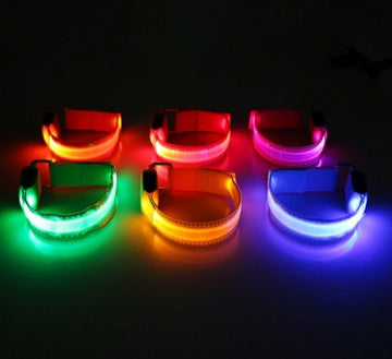 Light-Up LED Collar – Fun & Safety for Dogs