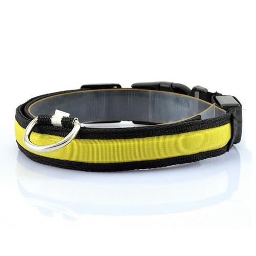 Bright LED Dog Collar – Keep Your Pup Safe