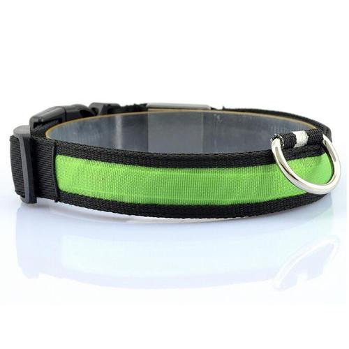 Bright LED Dog Collar – Keep Your Pup Safe