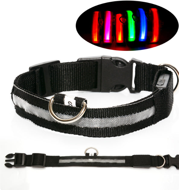 Light-Up LED Collar – Fun & Safety for Dogs