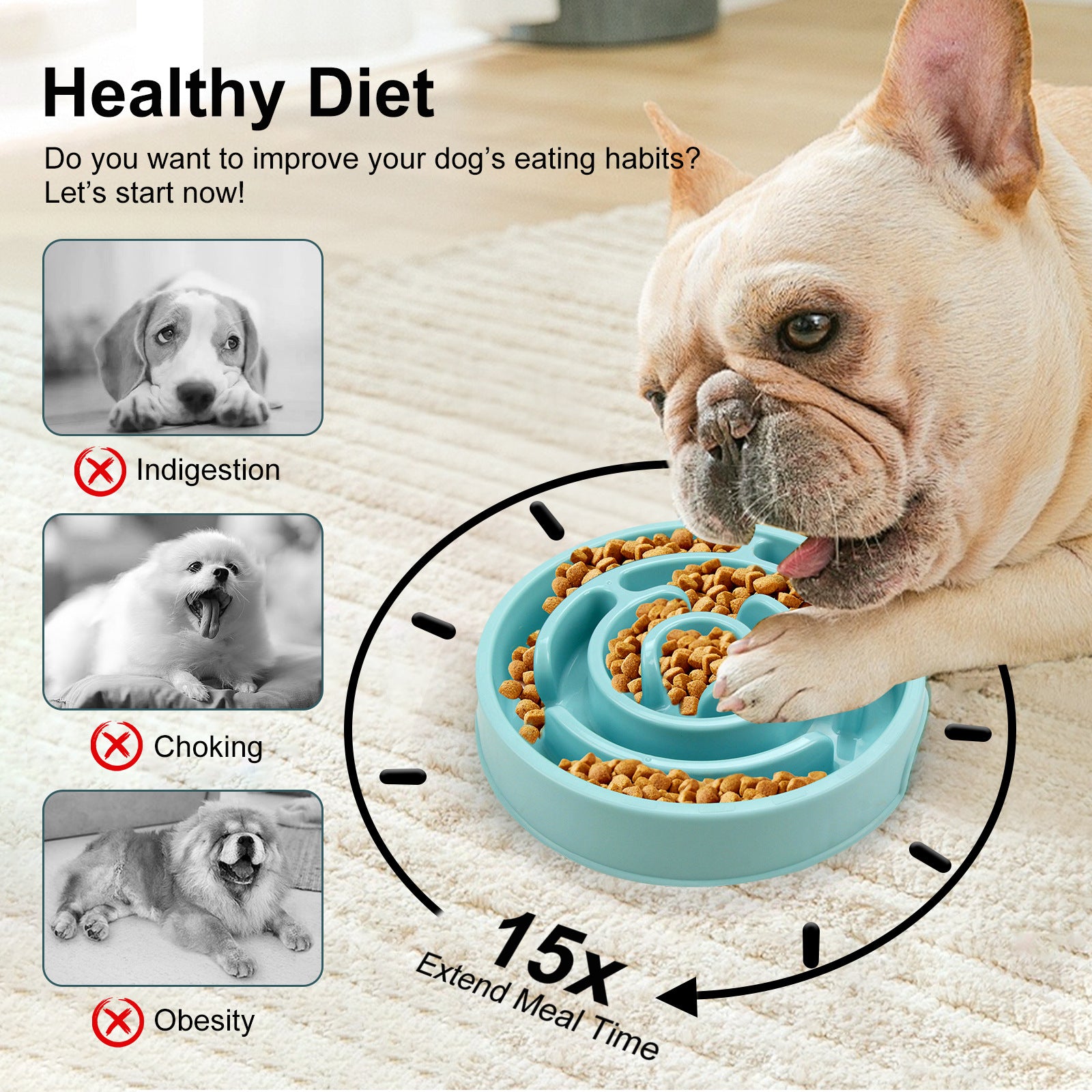 Silicone Slow Feeder Dog Bowl (Anti-Choking)