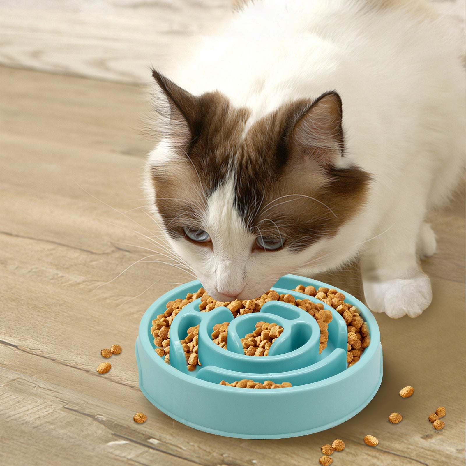 Silicone Slow Feeder Dog Bowl (Anti-Choking)